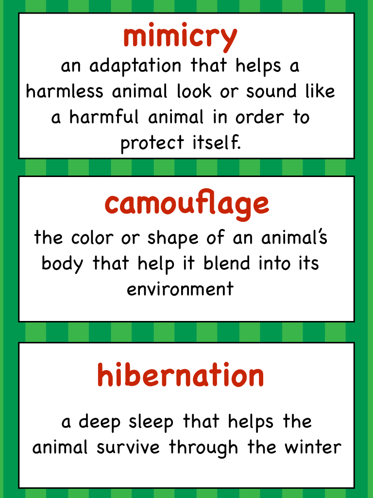 Animal Adaptations: Informational Reading Passages - Science and STEAM Team