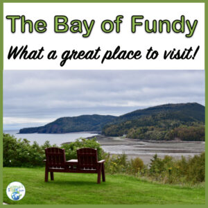 Overlooking the Bay of Fundy
