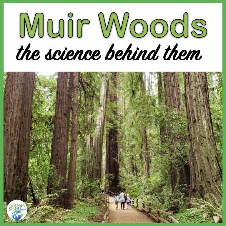 Muir-Woods-the-science-behind-them