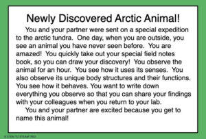 This is a task card that shows characteristics of a newly discovered arctic animal. 