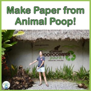 Blog Cover for the Elephant PoopooPaper Park