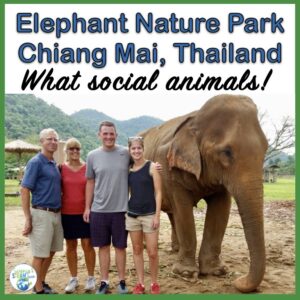 blog cover for the elephant nature park
