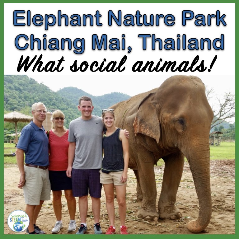 blog cover Ethical Elephant Sanctuary in Chiang Mai
