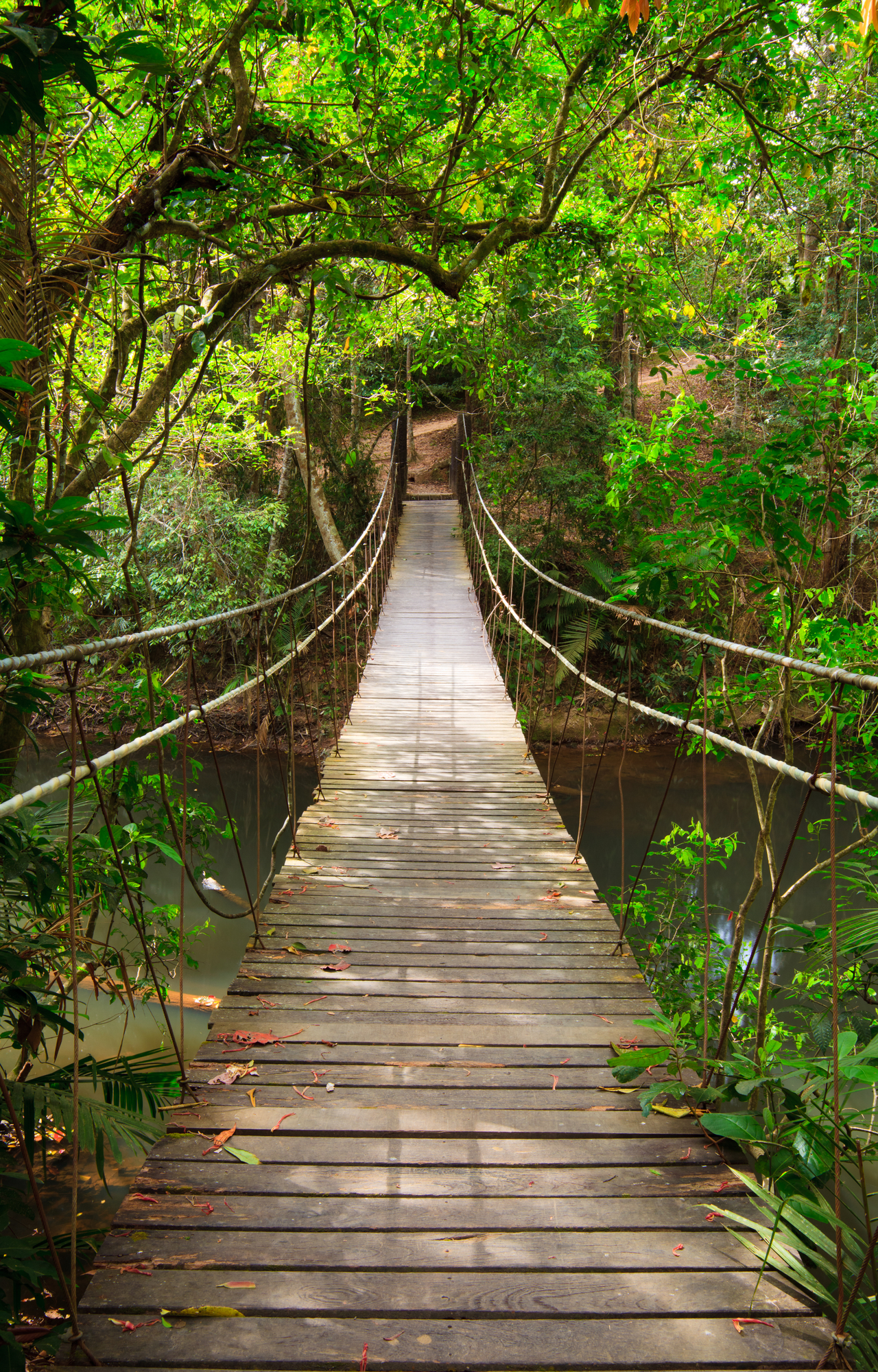 Seven Different Types of Bridges and Why We Build Them - Science and ...