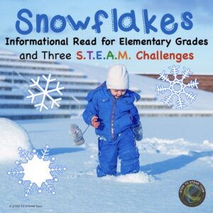 snowflakes-resource-from-our-TpT-shop