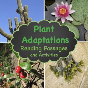 plant-adaptations-resources -in-out-TpT-shop