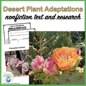 desert-plant-adaptations-resource-for-students