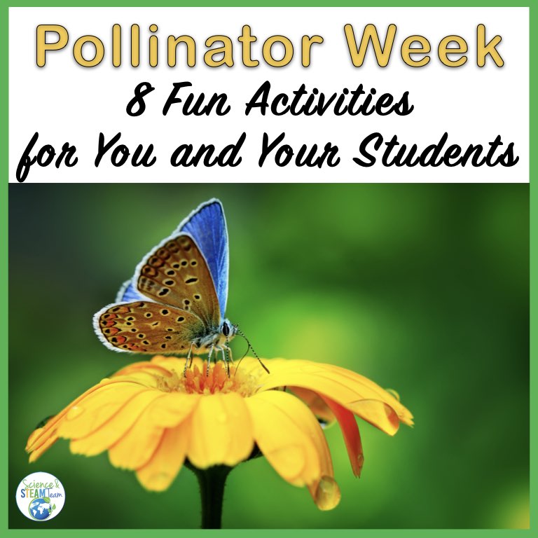 pollinator-blog-featured-image